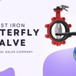 Butterfly Valve Wafer Lever Operated Zoloto